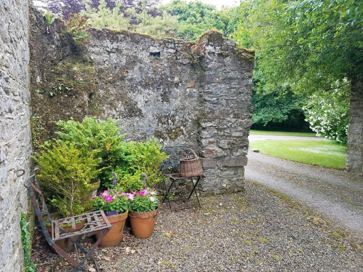 Kilmahon House, P25A973 Bed & Breakfast Shanagarry Exterior foto