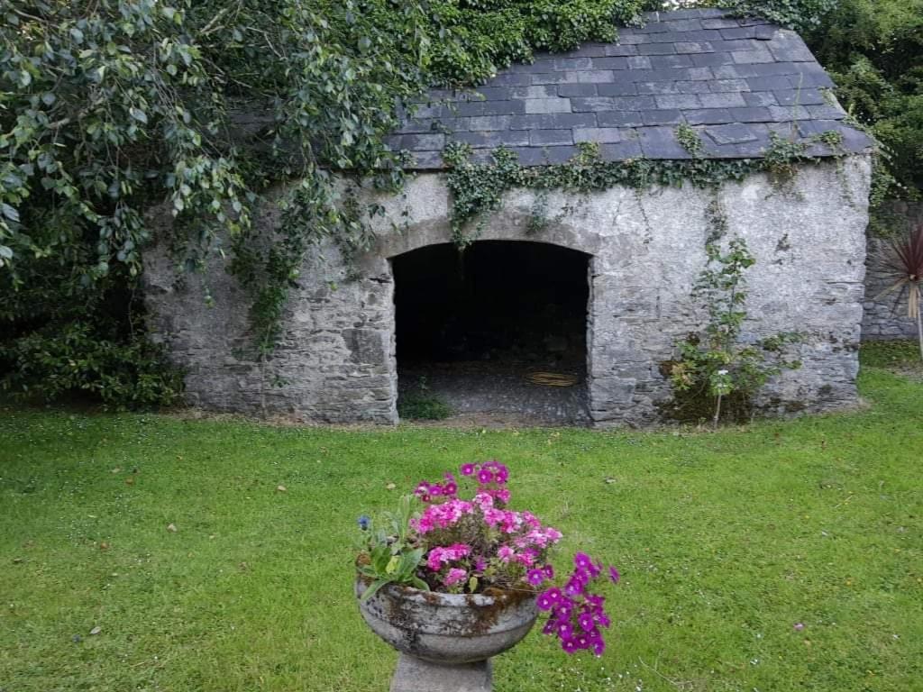 Kilmahon House, P25A973 Bed & Breakfast Shanagarry Exterior foto
